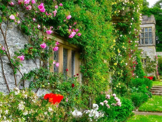 Những ngôi nhà phủ đầy hoa hồng khiến ai nhìn cũng mê ảnh 4
