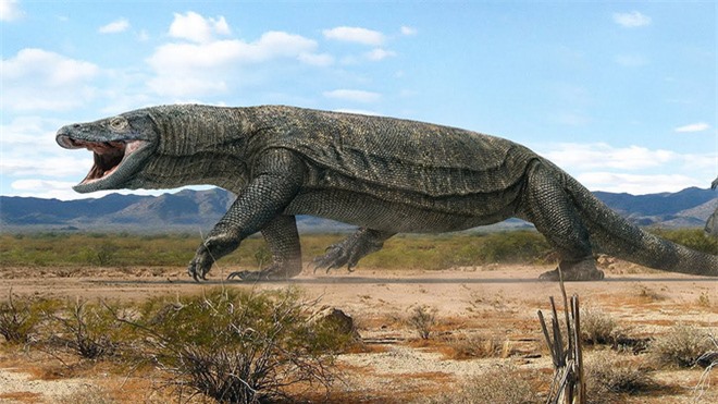 Phát hiện loài cá sấu cổ đại tại Australia có khả năng chạy nhanh trên cạn cách đây 40.000 năm - Ảnh 3.