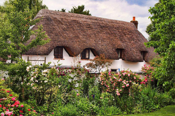 Những ngôi nhà phủ đầy hoa hồng khiến ai nhìn cũng mê