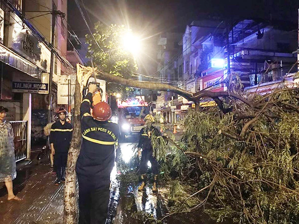 nhằm hạn chế nguy cơ cây xanh gãy cành, toét nhánh, ngã đổ bất ngờ do mưa bão