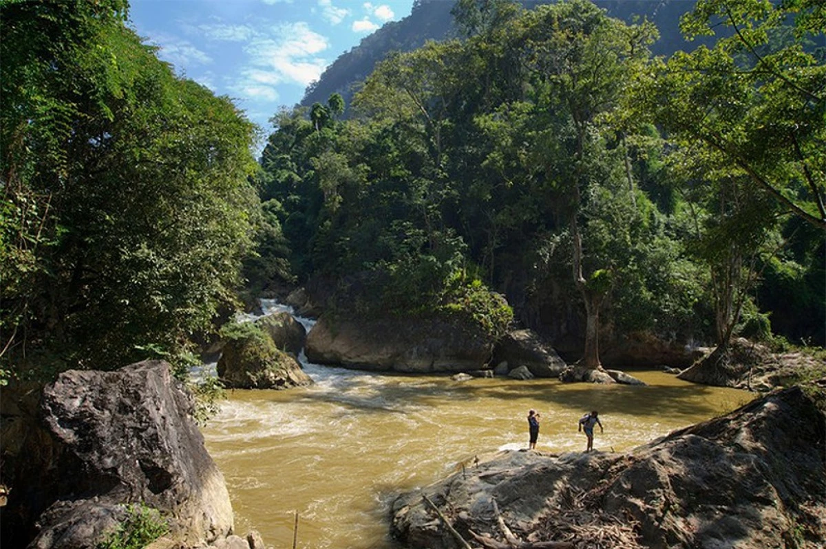 Một phần suối trong Vườn quốc gia Ba Bể (Ảnh: J Marshall - Tribaleye Images / Alamy Stock Photo)