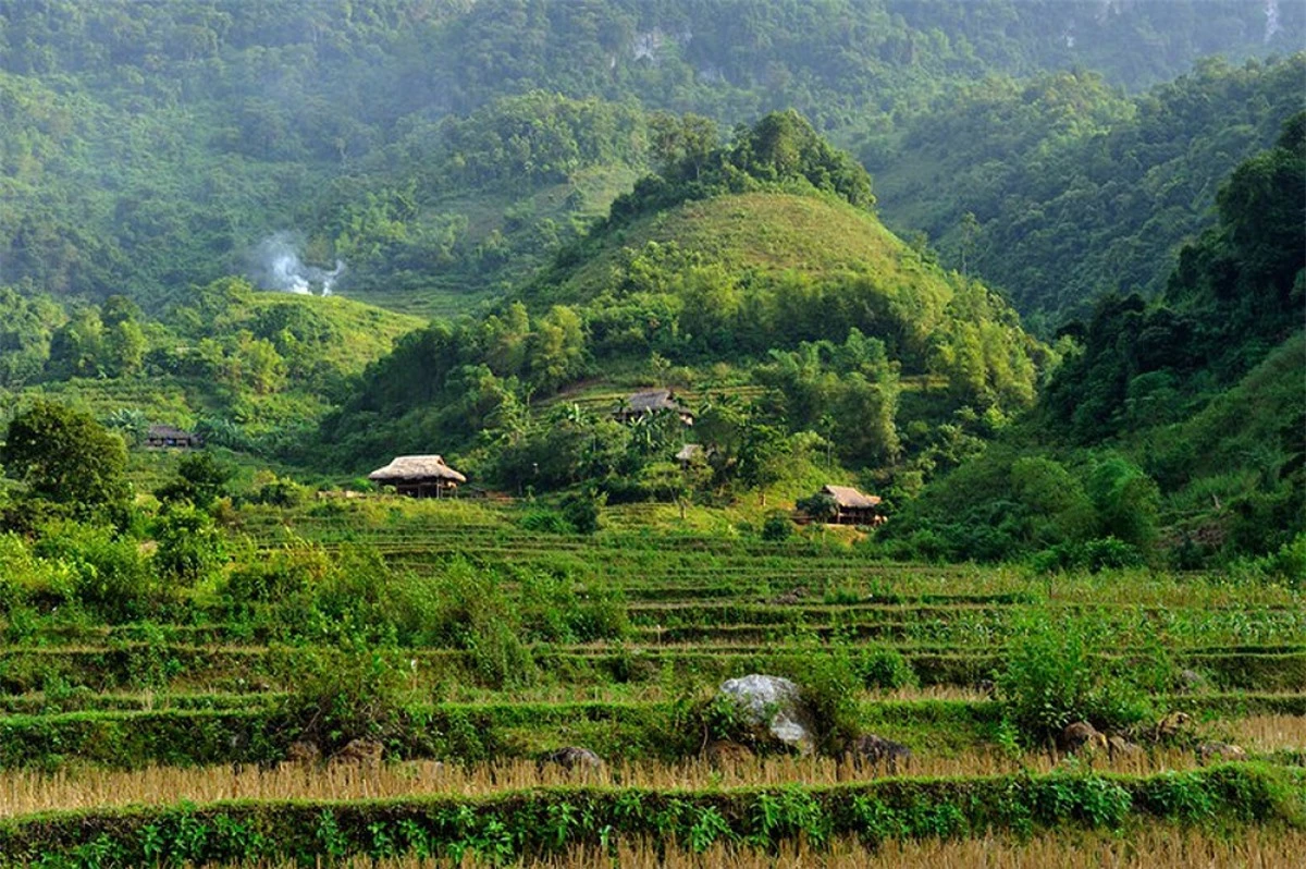 Vườn quốc gia Cúc Phương là địa điểm dễ dàng khám phá (Ảnh: Hemis / Alamy Stock Photo)