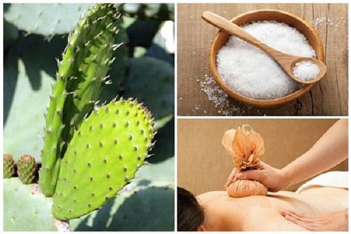 2 bài thuốc từ thiên nhiên cho người gai cột sống, biết sớm để không chịu thêm sự tổn thương