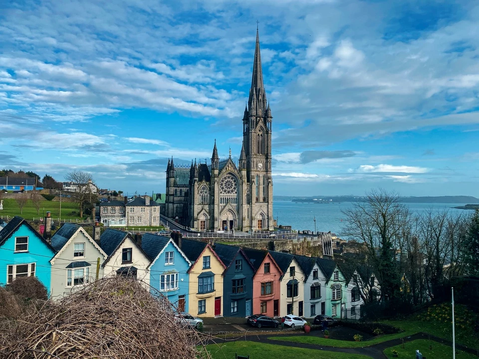 Du khách có thể thoải mái rong chơi khắp nơi ở Ireland mà không sợ bắt gặp loài bò sát đáng sợ này.