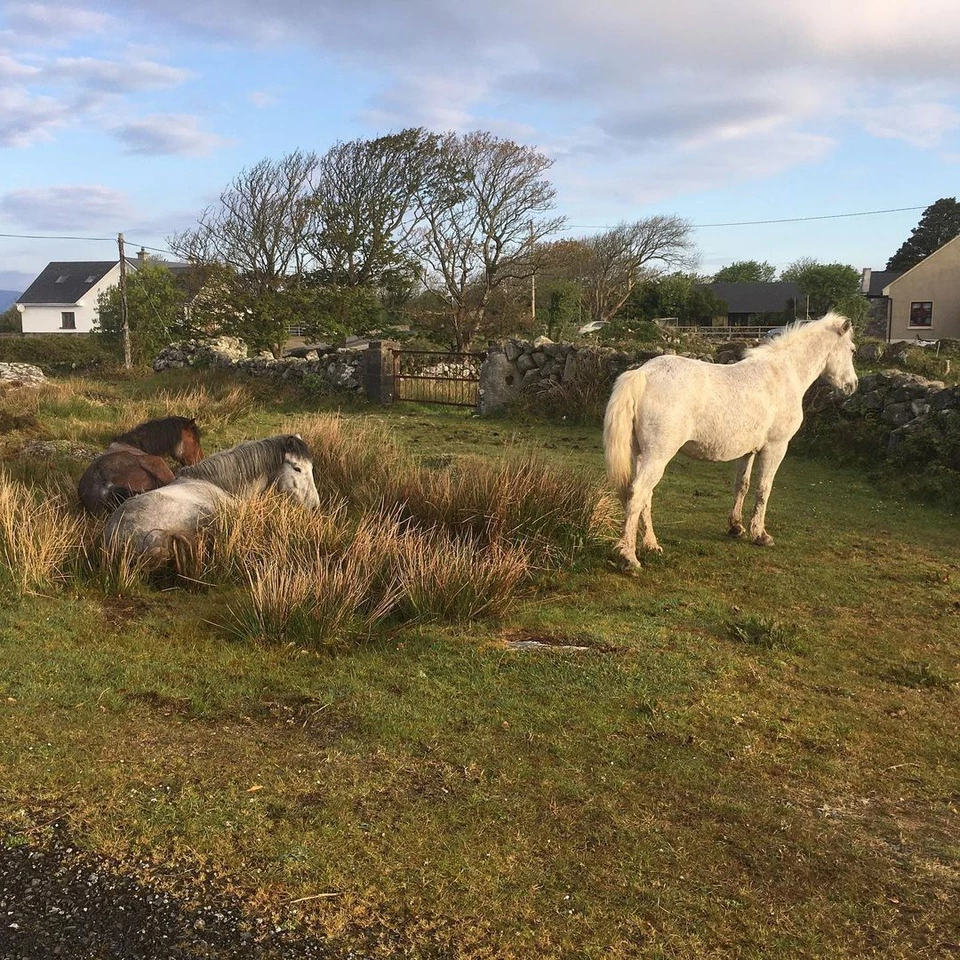 Tên địa điểm dài nhất ở Ireland là Muckanaghederdauhaulia, một thị trấn nhỏ thuộc thành phố Galway. Địa điểm này đứng vị trí thứ 10 trong danh sách những nơi có tên gọi dài nhất thế giới. Ảnh: Getunstuckwalkyourfears.