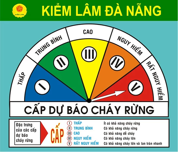 Ngày 5/7, nguy cơ cháy rừng trên địa bàn Đà Nẵng đã lên tới cấp cao nhất, rất nguy hiểm!