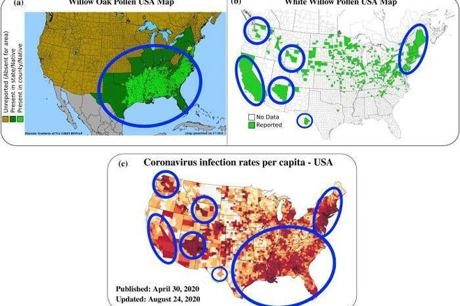 Hạt phấn hoa giúp virus COVID-19 lan truyền xa hơn
