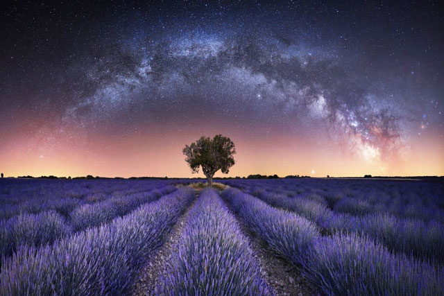 Những bức ảnh thiên văn tuyệt đẹp và ấn tượng nhất nửa đầu năm 2021