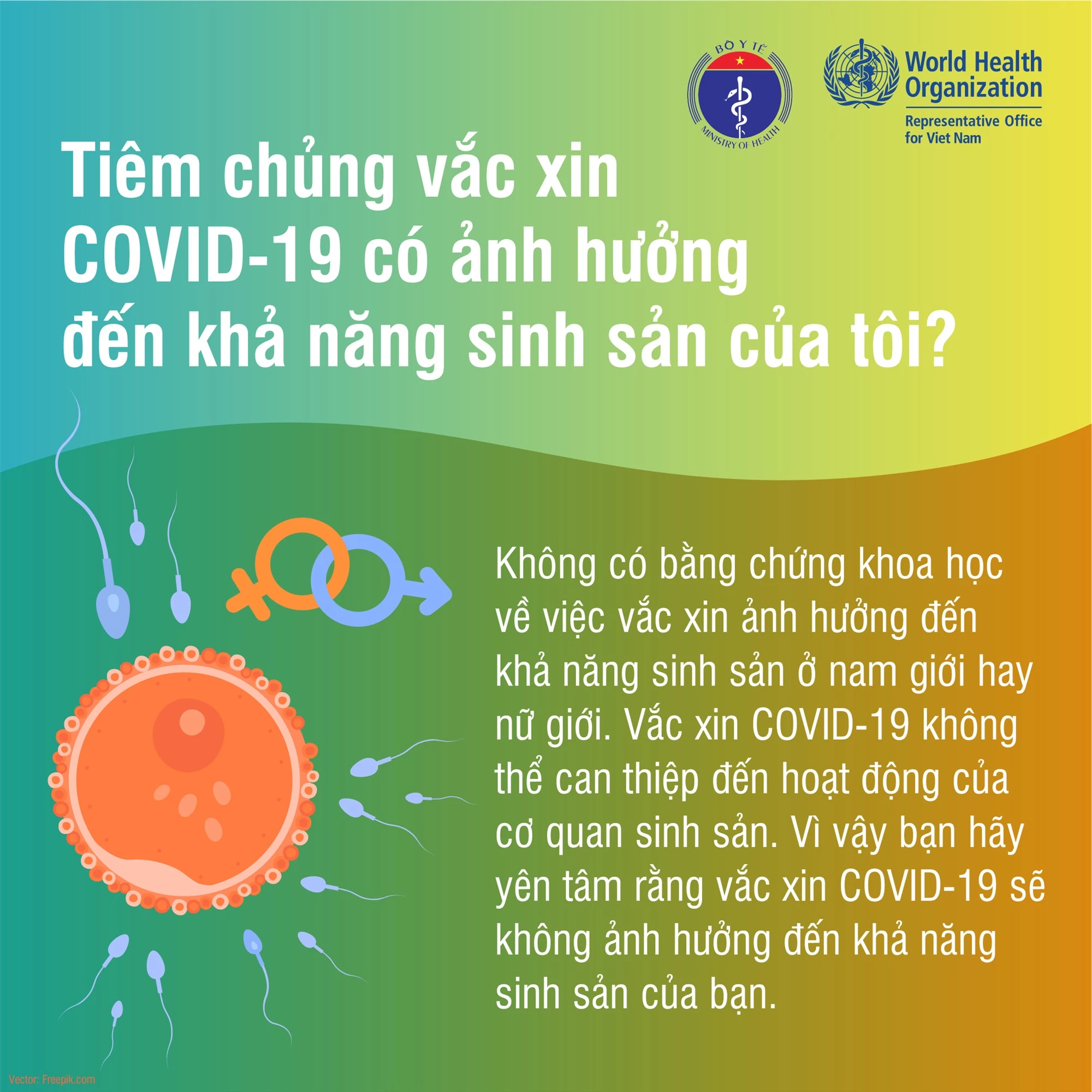 Tiêm chủng vaccine Covid-19 có ảnh hưởng đến khả năng sinh sản không? - Ảnh 1. Tiêm chủng vaccine Covid-19 có ảnh hưởng đến khả năng sinh sản không? - Ảnh 1.