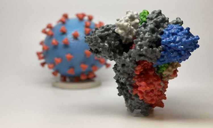 Khoa họcTin tứcThứ tư, 7/7/2021, 10:44 (GMT+7) Dùng nCoV giả để tiêu diệt virus thật MỸCác nhà nghiên cứu ở Đại học Pennsylvania thiết kế phương pháp điều trị mới sử dụng nCoV để tiêu diệt chính virus. Mô hình in 3D gai protein của nCoV. Ảnh: NIH. Mô hình in 3D gai protein của nCoV. Ảnh: NIH. Khoa họcTin tứcThứ tư, 7/7/2021, 10:44 (GMT+7) Dùng nCoV giả để tiêu diệt virus thật MỸCác nhà nghiên cứu ở Đại học Pennsylvania thiết kế phương pháp điều trị mới sử dụng nCoV để tiêu diệt chính virus. Mô hình in 3D gai protein của nCoV. Ảnh: NIH. Mô hình in 3D gai protein của nCoV. Ảnh: NIH.