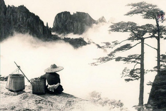 Truyền thuyết về loài hoa từ Thiên thượng