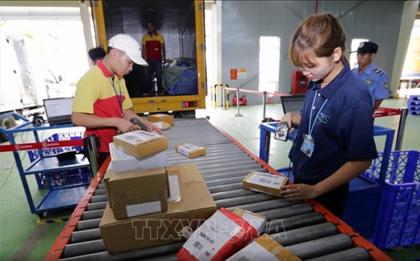 Sàn thương mại điện tử ưu tiên bán hàng nông sản phục vụ người dân TP HCM 