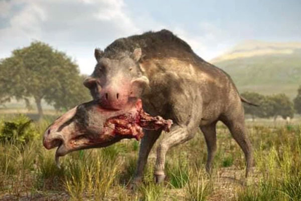 Rùng rợn truyền thuyết về ‘Lợn địa ngục’, quái vật có thực từng xuất hiện tại Bắc Mỹ