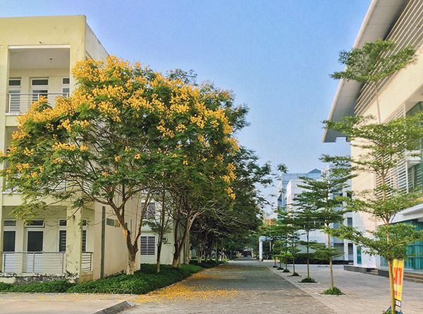 Đà Nẵng thành lập thêm khu cách ly tập trung để sẵn sàng tiếp nhận người đến từ vùng dịch