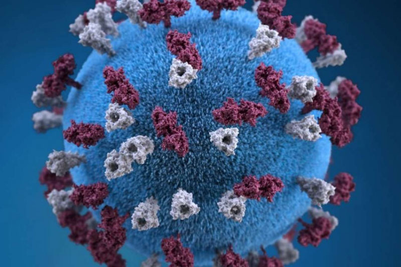 Ấn Độ chật vật kiểm soát Ấn Độ chật vật kiểm soát COVID-19, lại thêm cảnh báo đỏ chủng đột biến kép Kappa, lại thêm cảnh báo đỏ chủng đột biến kép Kappa