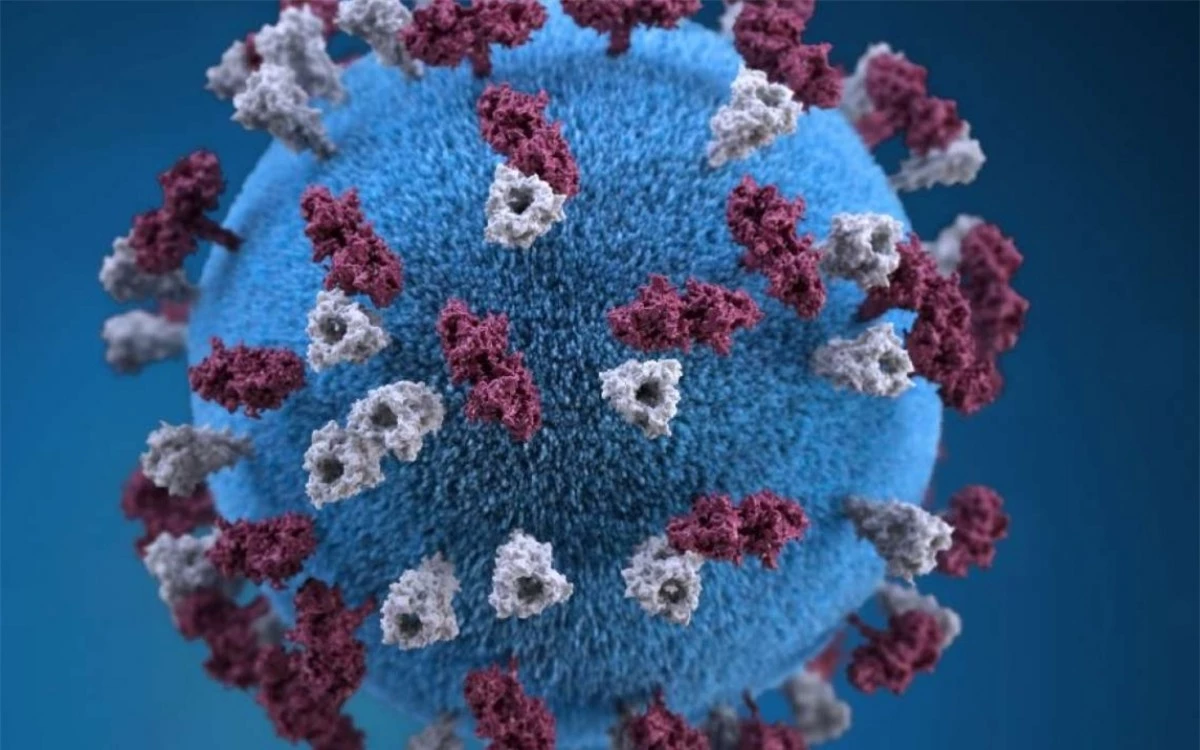Hình ảnh virus SARS-CoV-2. Ảnh: CDC.