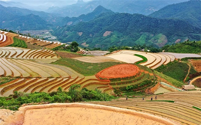 Ruộng bậc thang mới nổi ở Yên Bái thu hút giới trẻ