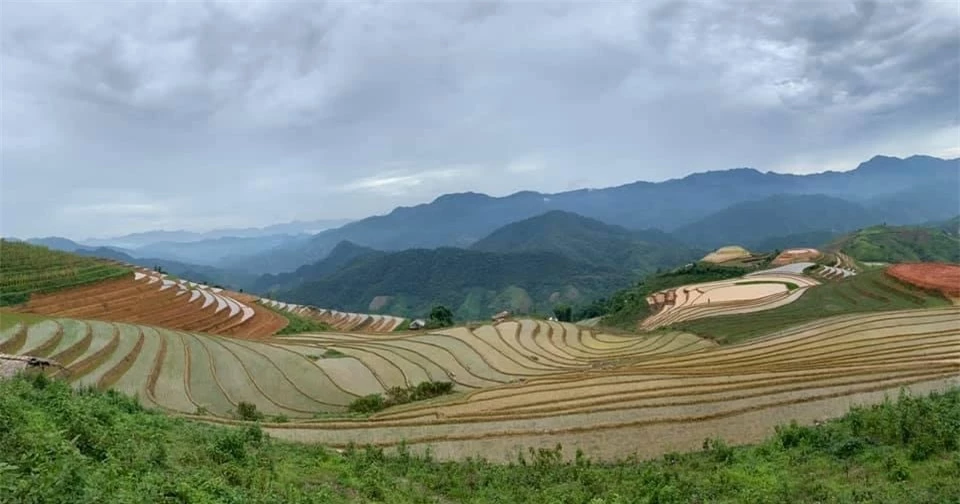 Ruộng bậc thang mới nổi ở Yên Bái thu hút giới trẻ