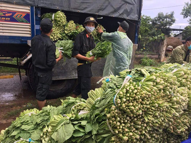 Người dân và các chiến sĩ Đăk Lăk chuẩn bị rau để hỗ trợ TP.HCM. Ảnh: CLB Bước chân yêu thương.