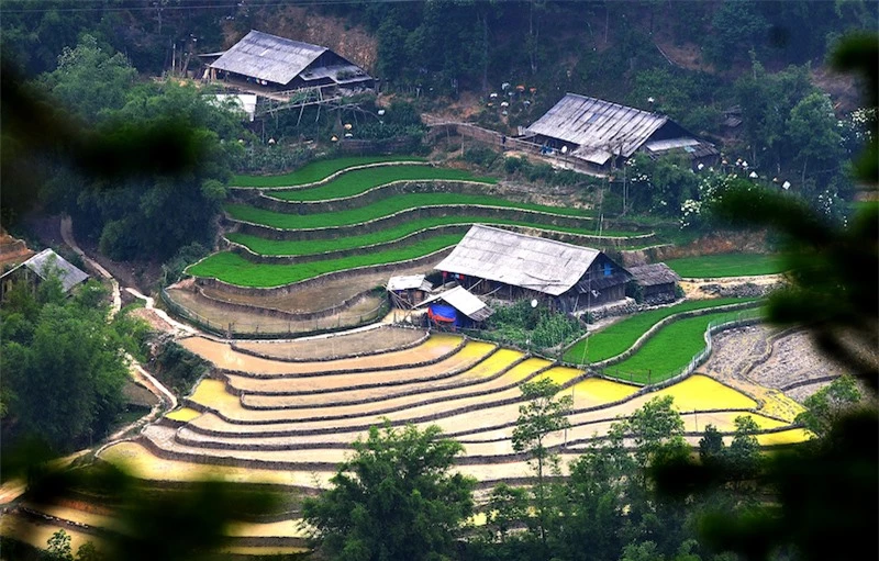 Ruộng bậc thang Sa Pa mùa nước đổ -0