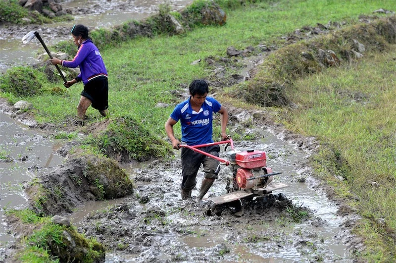 Ruộng bậc thang Sa Pa mùa nước đổ -0