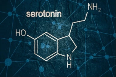  Thiếu hụt hormone serotonin gây rối loạn lo âu.