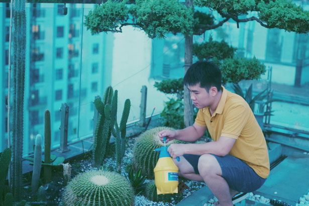 "Hồ sen" với đủ loại hoa hiếm trên penthouse 300m2 của chồng dành tặng vợ ở Hà Nội