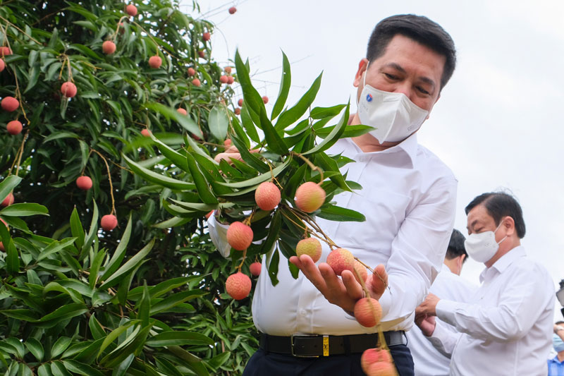 Bộ trưởng Công Thương: Đặc sản Việt Nam sẽ từ nhà sản xuất đến tận tay người tiêu dùng quốc tế