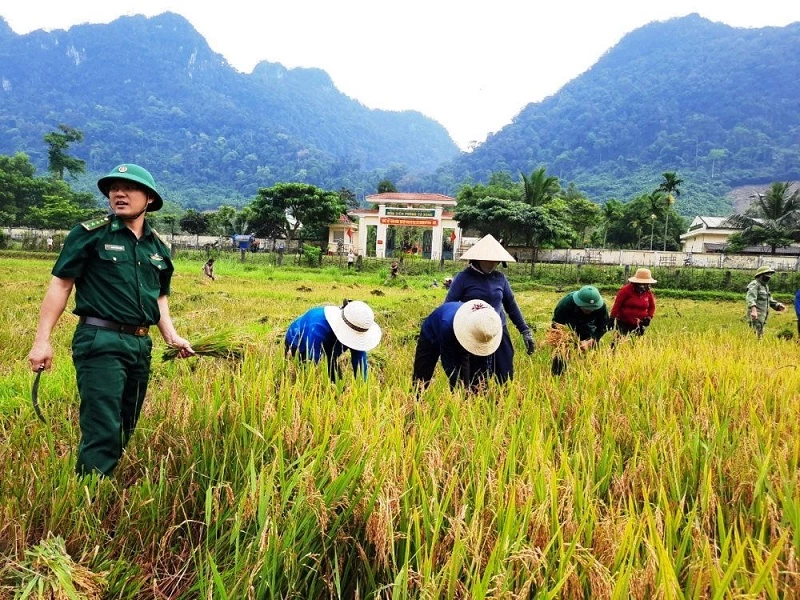 Cánh đồng lúa nước Rục Làn- một trong những chương trình thành công của Biên Phòng giúp đồng bào Rục- Quảng Bình biết trồng lúa nước.