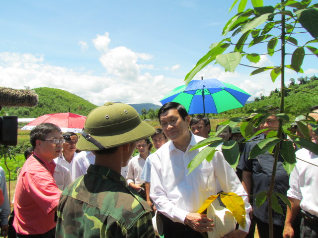 Bài 3: Xin đừng “quay lưng” với cây cao su