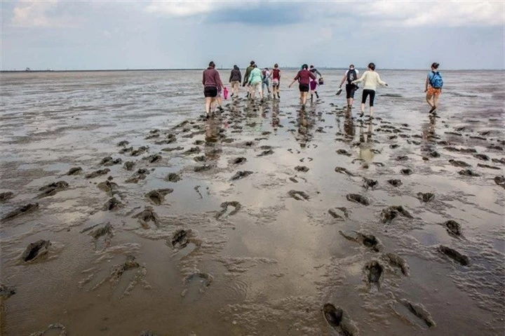 Biển Wadden - Bãi biển biến mất hai lần một ngày  - 1