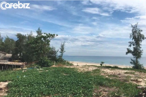 Bỏ gần 300 triệu đồng mua đất ở nơi 'khỉ ho cò gáy' để 'về hưu dưỡng già', sau 6 năm, tôi bất ngờ 'thắng lớn'