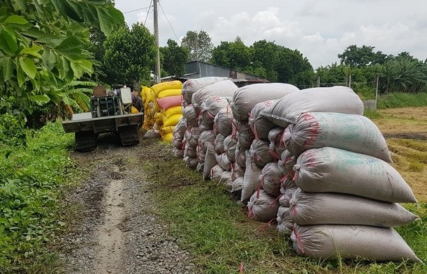 An Giang: Hỗ trợ xét nghiệm COVID-19 giúp dân tiêu thụ 1,3 triệu tấn lúa 