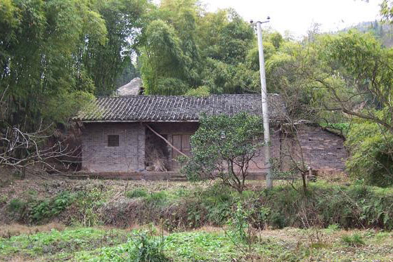 Đào huyệt chôn chồng vừa qua đời, người phụ nữ tìm thấy 'kho báu khổng lồ': Hôm sau, một đoàn người kéo đến