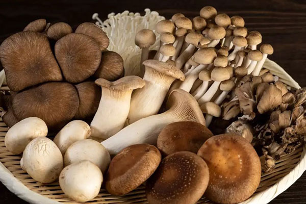 Vitamin B5 có nhiều trong thực phẩm nào?