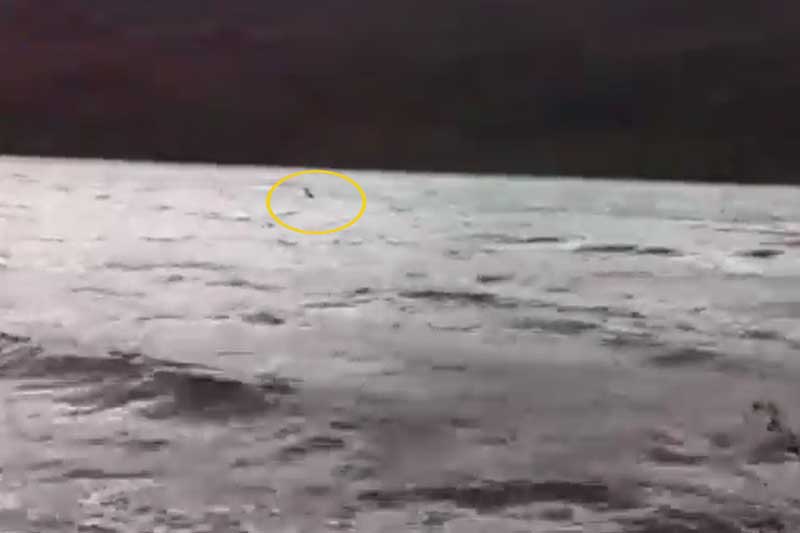 Xuất hiện video rõ nét nhất về sự xuất hiện của quái vật hồ Loch Ness