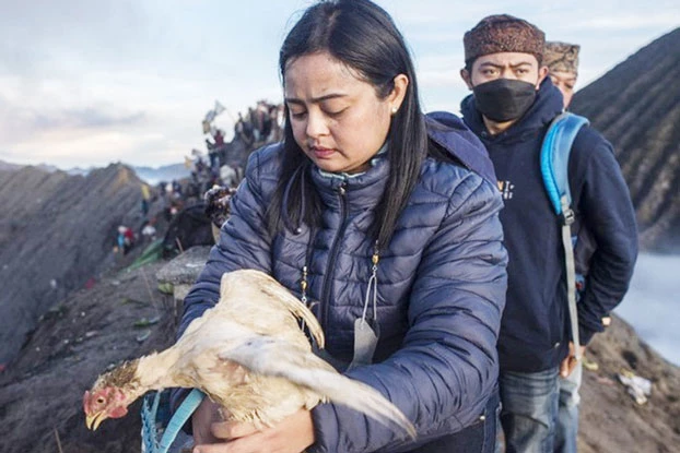 Một thành viên bộ tộc Tengger chuẩn bị ném gà hiến tế vào miệng núi lửa Mount Bromo đang hoạt động ở tỉnh Đông Java. Ảnh: AFP