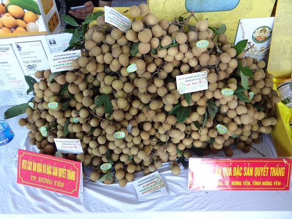 Tìm đường xuất khẩu nhãn sang Trung Quốc 