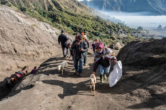 Lễ hiến tế Yadnya Kasada cầu may mắn, thịnh vượng của bộ tộc Tengger ở Indonesia  - Ảnh 2.