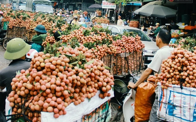 Bắc Giang đã tiêu thụ hết vụ vải thiều khi mà dịch đang bùng phát mạnh tại tỉnh. Ảnh: Internet