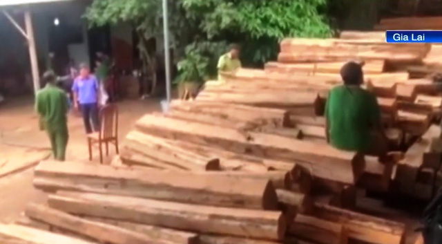 Truy tố 7 đối tượng mua bán gần 1.400m3 gỗ lậu