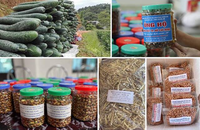 Người dân xứ Nghệ quyên góp hàng trăm tấn hàng nhu yếu phẩm gửi vào thành phố mang tên Bác