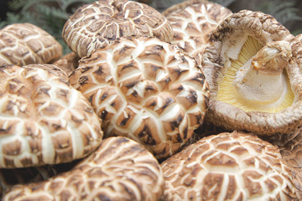 Nấm hương Nhật hơn 8 triệu đồng/kg, dân Hà Nội mua về xào rau, nấu canh ăn hằng ngày