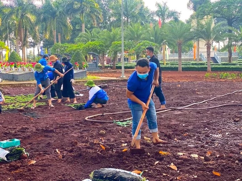 Thanh niên TX Phước Long góp ngày công lao động để trồng cỏ, chỉnh trang và tô điểm thêm vẻ đẹp của Nghĩa trang liệt sĩ ở thị xã này.