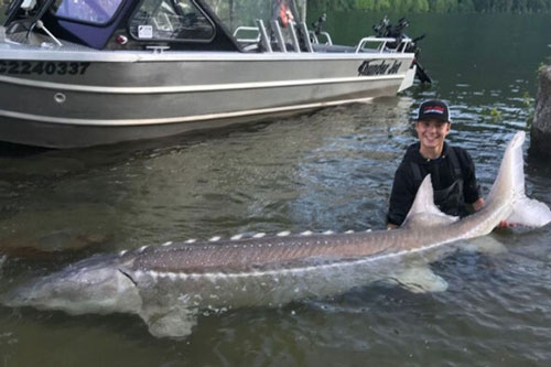 Cần thủ câu trúng 'cá quái vật' thời tiền sử