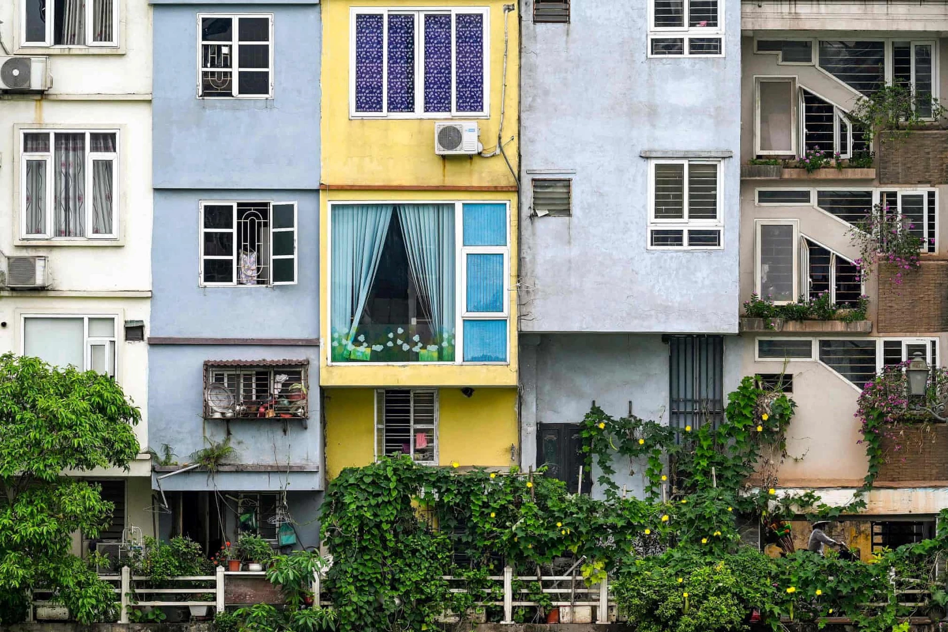 Tác giả nhận xét nhiều ngôi nhà ở Hà Nội chỉ rộng khoảng 4 m nhưng chiều sâu có thể gấp 3 lần.