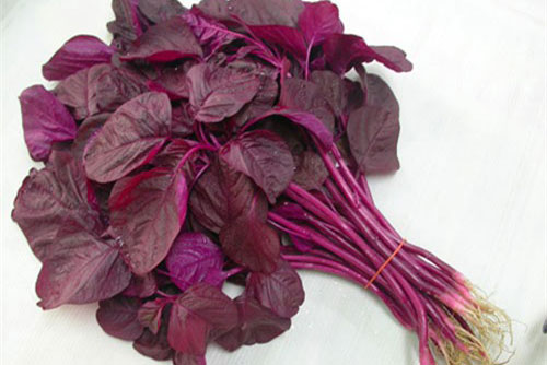 Nhuộm tóc bằng rau dền cực an toàn mà hiệu quả