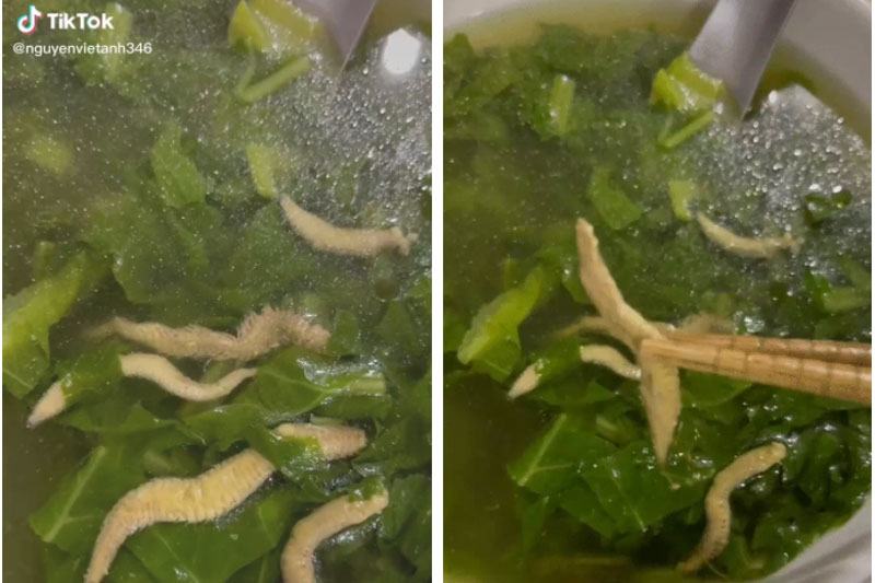 Hết "lẩu ngọ nguậy" đến món canh đầy "sâu": Nhìn thì sợ nhưng lại là đặc sản nổi tiếng ở miền Bắc