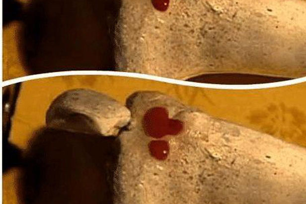 Phương pháp phá án kỳ lạ trong lịch sử Trung Quốc: Vì làm theo mà một hoàng tử sát hại con đẻ rồi chạy sang nước địch