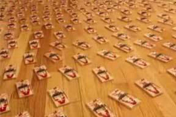 Mua bẫy chuột về đặt khắp nhà rồi ở tạm nơi khác, 2 ngày sau trở về, cảnh tượng lúc vừa mở cửa khiến người đàn ông bủn rủn